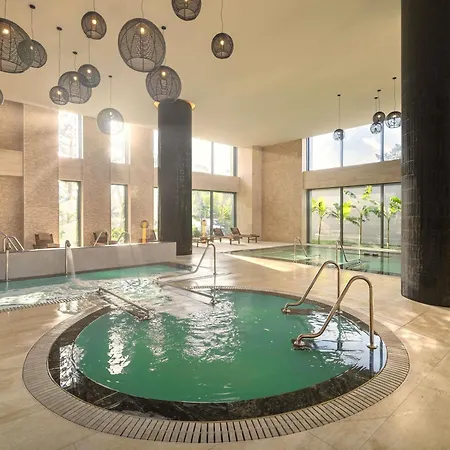 Hotel Swissotel And 5*
