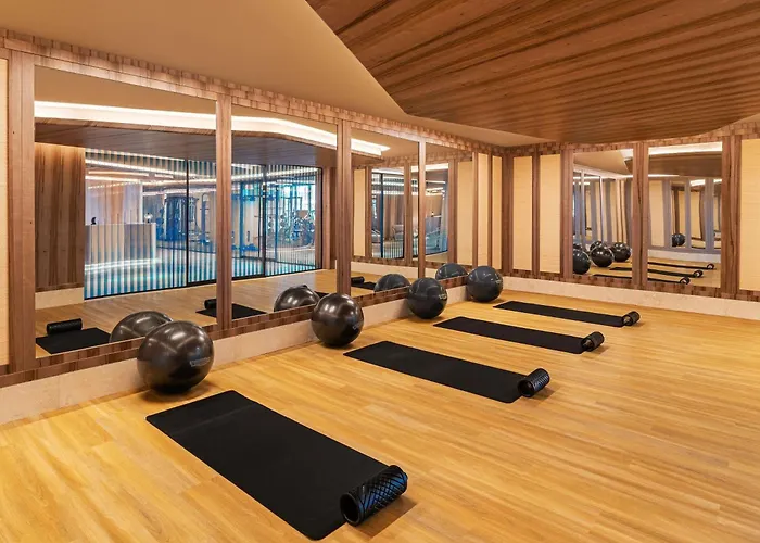 Готель Swissotel And 5*