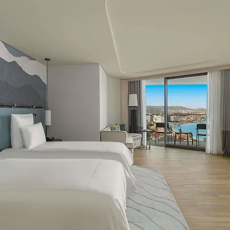 Отель Swissotel And 5*