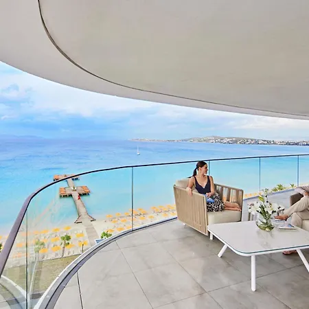 מלון Swissotel And 5*
